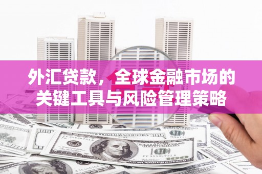 晋州外汇贷款，全球金融市场的关键工具与风险管理策略