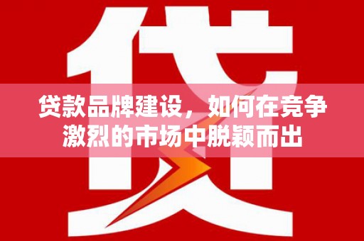 晋州贷款品牌建设，如何在竞争激烈的市场中脱颖而出