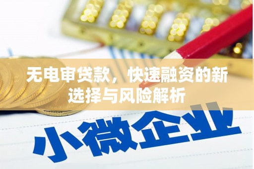 晋州无电审贷款，快速融资的新选择与风险解析