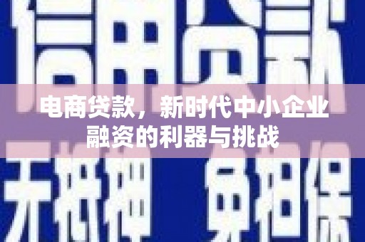 晋州电商贷款，新时代中小企业融资的利器与挑战