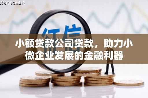 晋州小额贷款公司贷款，助力小微企业发展的金融利器