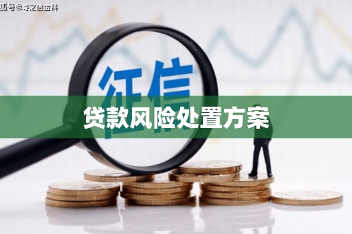 晋州贷款风险处置方案
