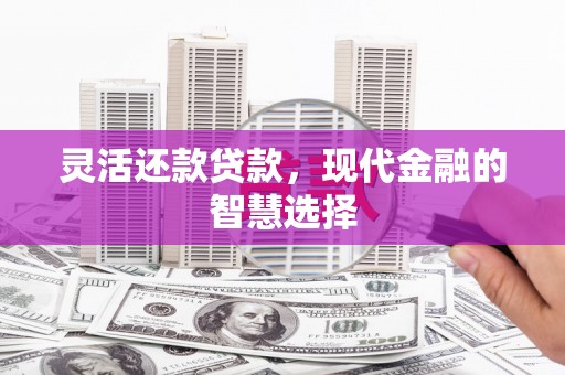 晋州灵活还款贷款，现代金融的智慧选择