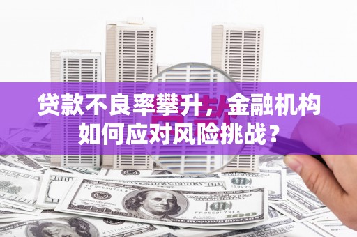 晋州贷款不良率攀升，金融机构如何应对风险挑战？