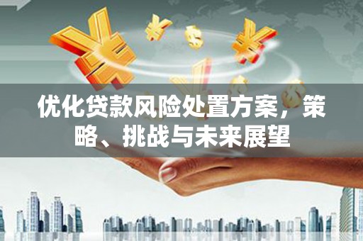 晋州优化贷款风险处置方案，策略、挑战与未来展望