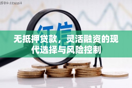 晋州无抵押贷款，灵活融资的现代选择与风险控制