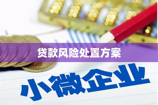 晋州贷款风险处置方案