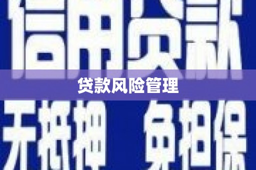 晋州贷款风险管理