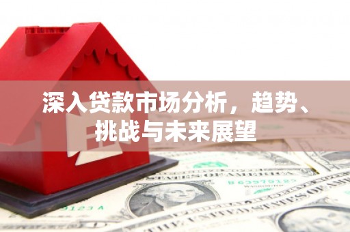 晋州深入贷款市场分析，趋势、挑战与未来展望