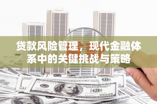 晋州贷款风险管理，现代金融体系中的关键挑战与策略