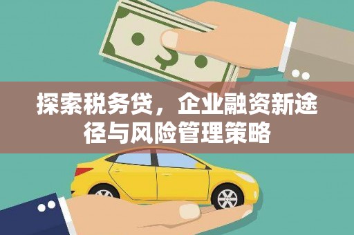 晋州探索税务贷，企业融资新途径与风险管理策略