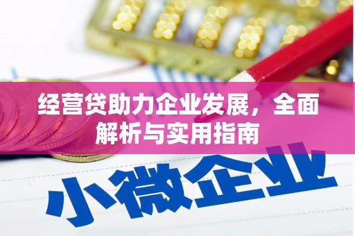 晋州经营贷助力企业发展，全面解析与实用指南