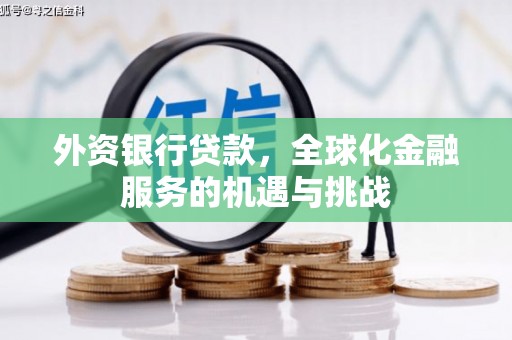晋州外资银行贷款，全球化金融服务的机遇与挑战
