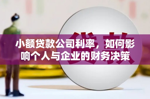 晋州小额贷款公司利率，如何影响个人与企业的财务决策