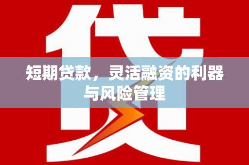 晋州短期贷款，灵活融资的利器与风险管理