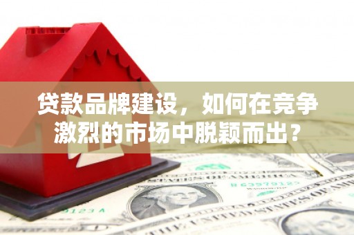晋州贷款品牌建设，如何在竞争激烈的市场中脱颖而出？