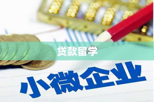 晋州贷款留学