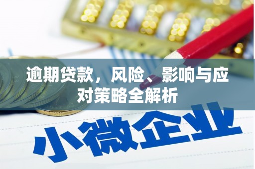 晋州逾期贷款，风险、影响与应对策略全解析