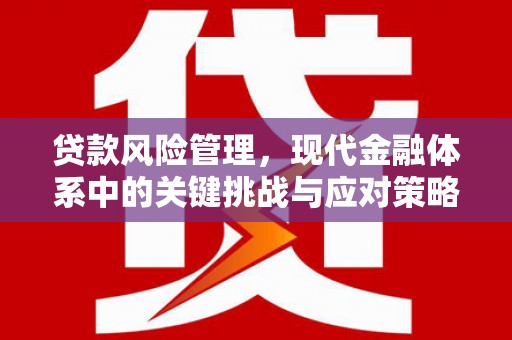 晋州贷款风险管理，现代金融体系中的关键挑战与应对策略