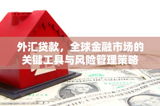 晋州外汇贷款，全球金融市场的关键工具与风险管理策略