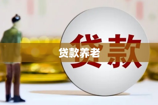 晋州贷款养老