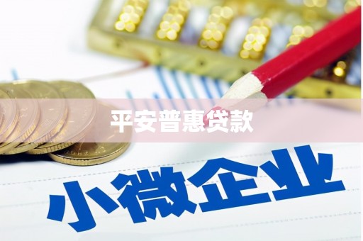 晋州平安普惠贷款