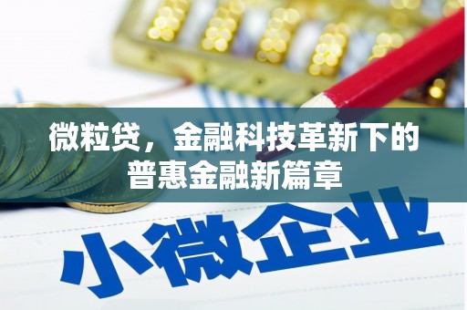晋州微粒贷，金融科技革新下的普惠金融新篇章