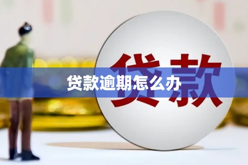 晋州贷款逾期怎么办