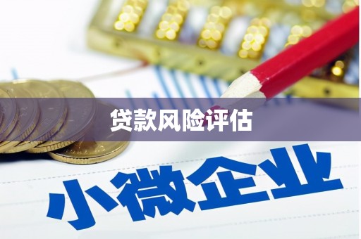 晋州贷款风险评估