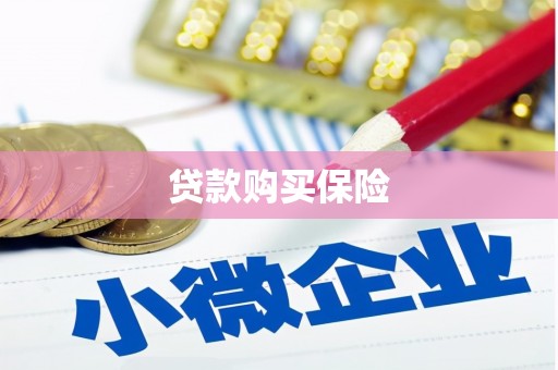 晋州贷款购买保险
