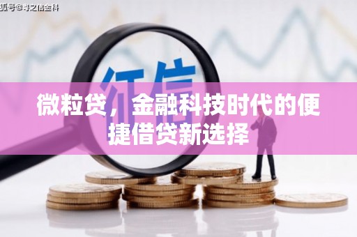 晋州微粒贷，金融科技时代的便捷借贷新选择
