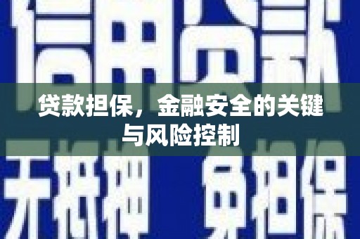 晋州贷款担保，金融安全的关键与风险控制
