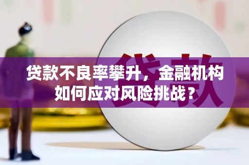 晋州贷款不良率攀升，金融机构如何应对风险挑战？