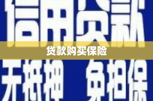 晋州贷款购买保险