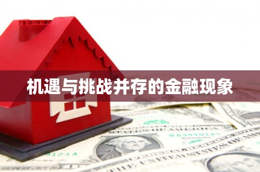 晋州机遇与挑战并存的金融现象