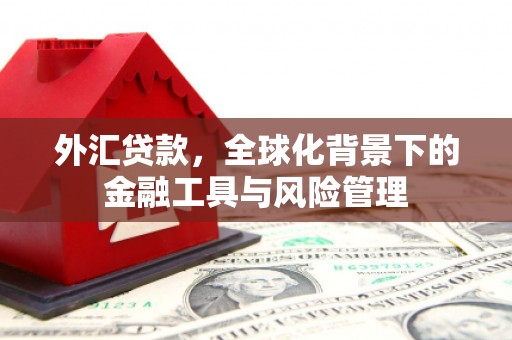 晋州外汇贷款，全球化背景下的金融工具与风险管理